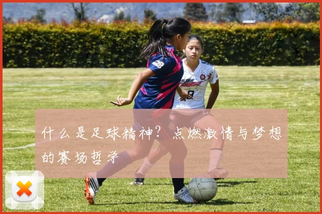 什么是足球精神？点燃激情与梦想的赛场哲学