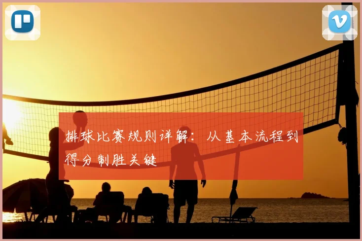 排球比赛规则详解：从基本流程到得分制胜关键